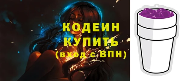 индика Беломорск