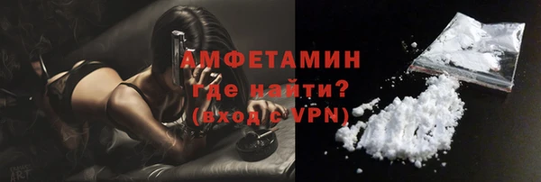 индика Беломорск