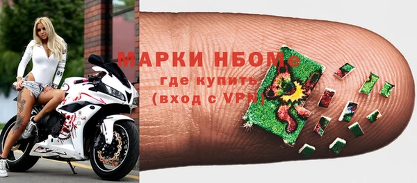 индика Беломорск