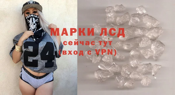индика Беломорск
