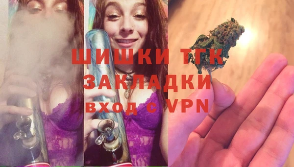 индика Беломорск