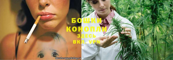 индика Беломорск