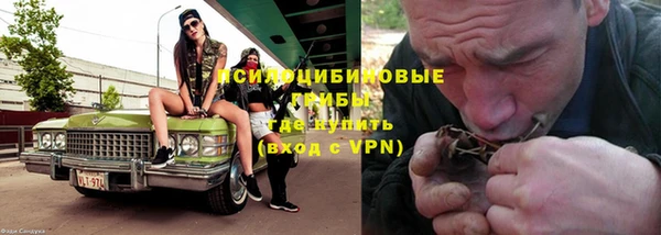 индика Беломорск