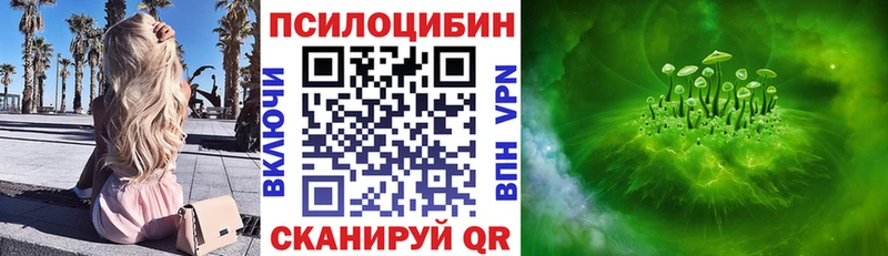 Псилоцибиновые грибы Psilocybe  где купить наркотик  MEGA зеркало  Малоярославец 